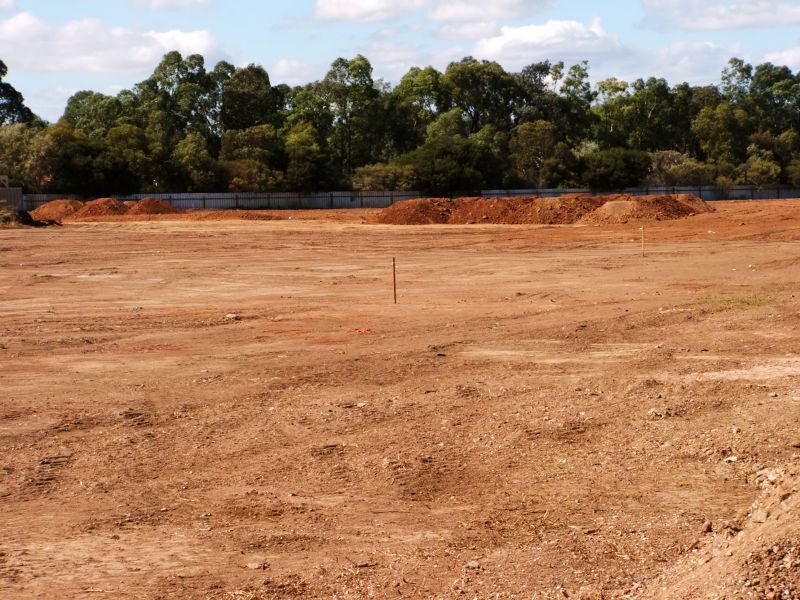 Site Preparation Results