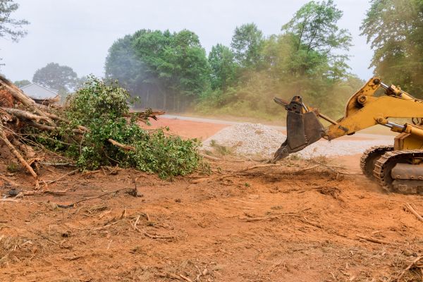 Ground Clearing in Allentown