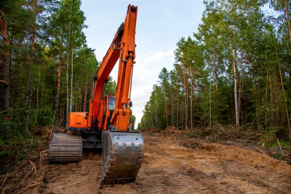 Backhoe Land Clearing in Allentown